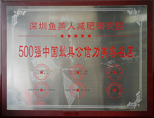 鱼佳丽荣获500强中国最具公信力美容名店声誉