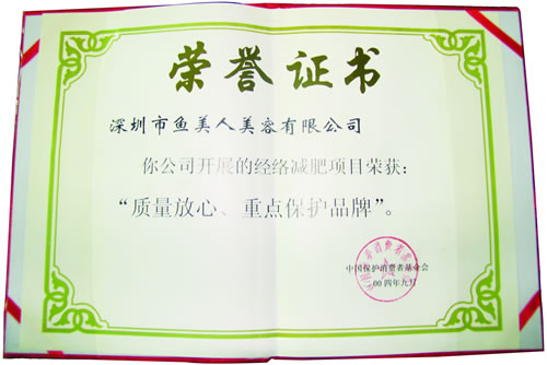 鱼佳丽获2004年重点掩护品牌殊荣