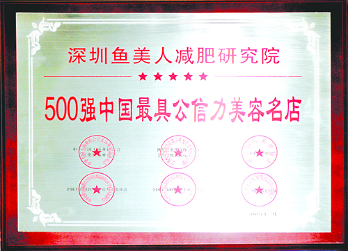 鱼佳丽获500强最具公信力企业殊荣