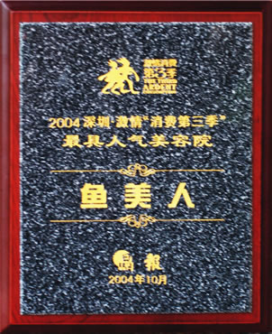 鱼佳丽获2004年最具人气奖