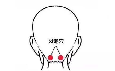 鱼佳丽