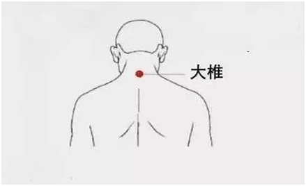 鱼佳丽