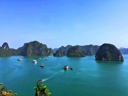 鱼佳丽